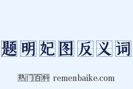 题明妃图反义词是什么意思的图片